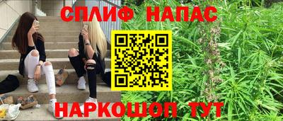прущие грибы Ливны