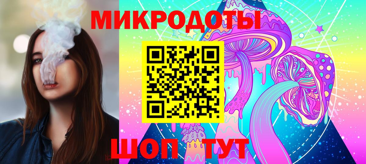 Галлюциногенные грибы Psilocybine cubensis Вязьма