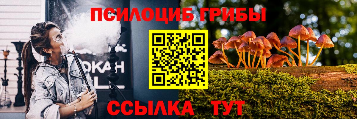 Вязьма  Галлюциногенные грибы GOLDEN TEACHER  Вход с VPN  Галлюциногенные грибы GOLDEN TEACHER 